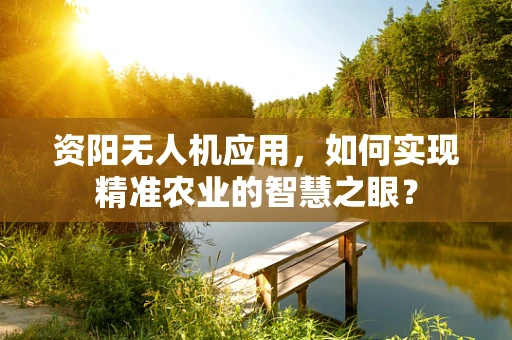 资阳无人机应用，如何实现精准农业的智慧之眼？