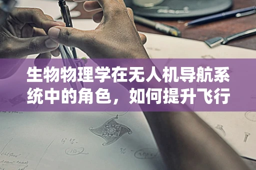 生物物理学在无人机导航系统中的角色，如何提升飞行稳定性和精准度？
