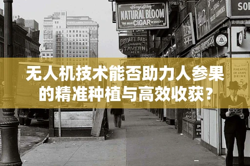 无人机技术能否助力人参果的精准种植与高效收获？