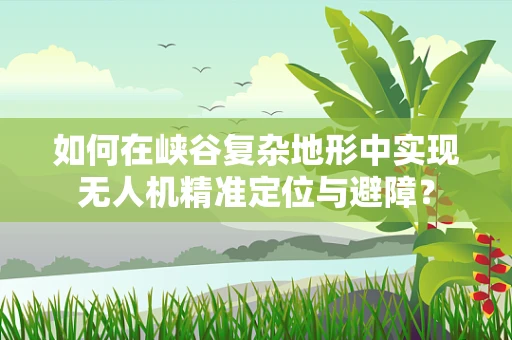 如何在峡谷复杂地形中实现无人机精准定位与避障？