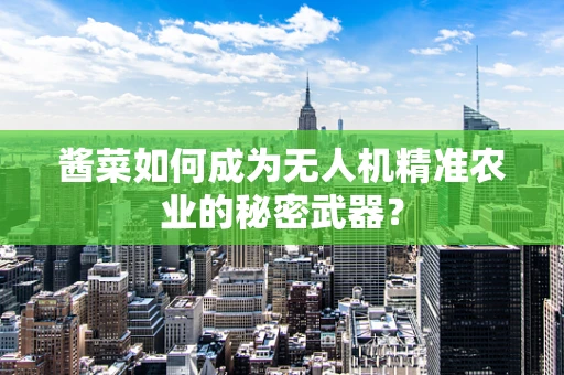 酱菜如何成为无人机精准农业的秘密武器？