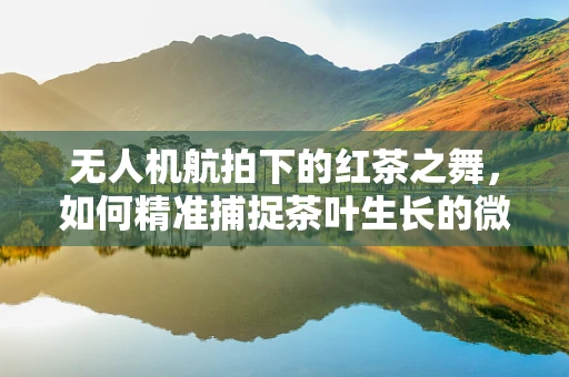 无人机航拍下的红茶之舞，如何精准捕捉茶叶生长的微妙变化？