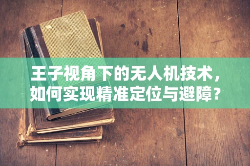 王子视角下的无人机技术，如何实现精准定位与避障？