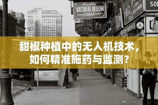 甜椒种植中的无人机技术，如何精准施药与监测？