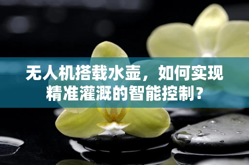无人机搭载水壶，如何实现精准灌溉的智能控制？