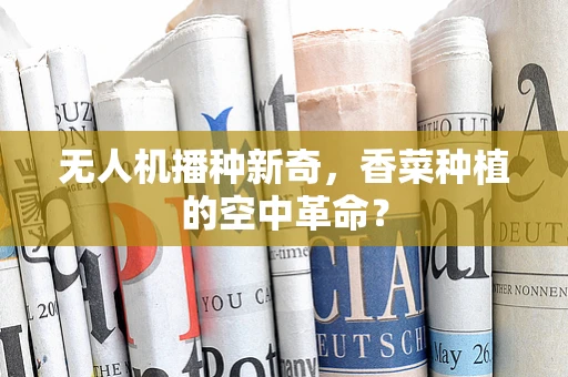 无人机播种新奇，香菜种植的空中革命？