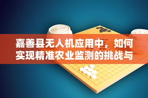嘉善县无人机应用中，如何实现精准农业监测的挑战与对策？
