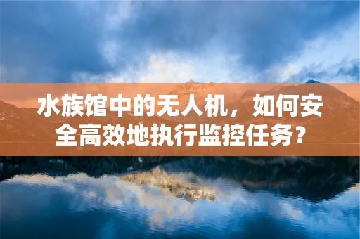 水族馆中的无人机，如何安全高效地执行监控任务？