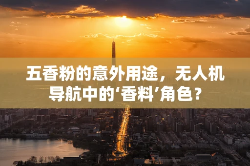 五香粉的意外用途，无人机导航中的‘香料’角色？