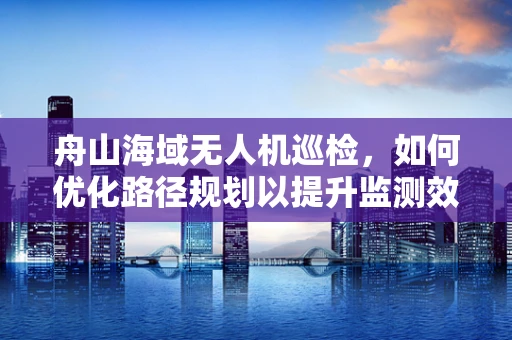 舟山海域无人机巡检，如何优化路径规划以提升监测效率？
