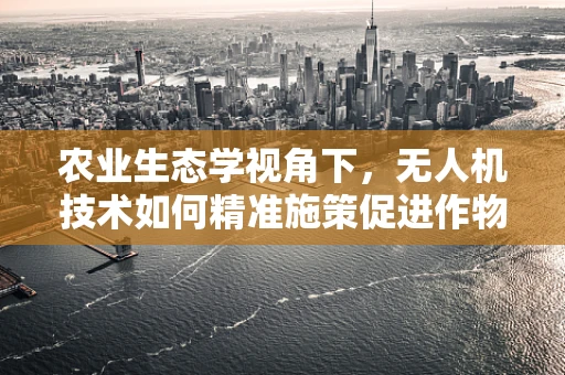 农业生态学视角下，无人机技术如何精准施策促进作物健康？