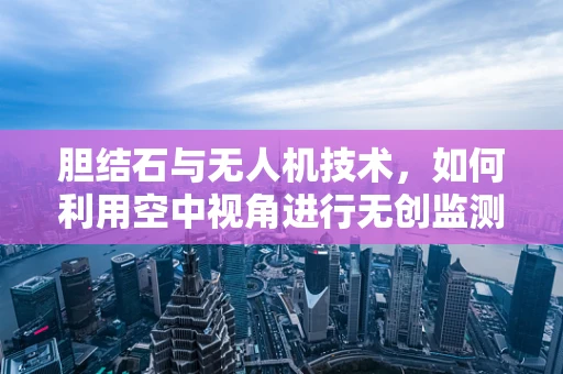 胆结石与无人机技术，如何利用空中视角进行无创监测？