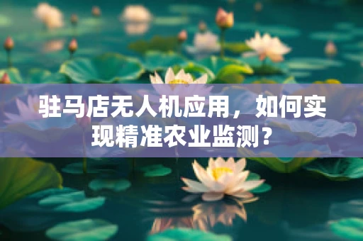 驻马店无人机应用，如何实现精准农业监测？