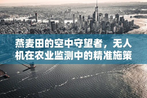 燕麦田的空中守望者，无人机在农业监测中的精准施策
