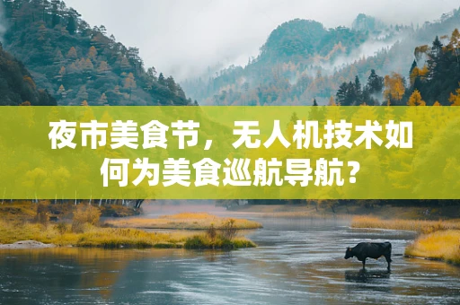 夜市美食节，无人机技术如何为美食巡航导航？