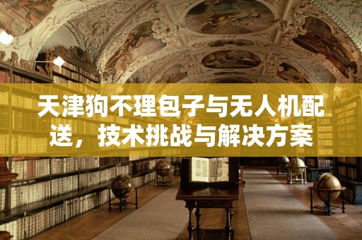 天津狗不理包子与无人机配送，技术挑战与解决方案
