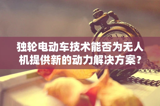 独轮电动车技术能否为无人机提供新的动力解决方案？