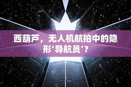 西葫芦，无人机航拍中的隐形‘导航员’？