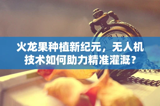 火龙果种植新纪元，无人机技术如何助力精准灌溉？