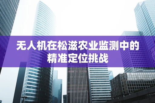 无人机在松滋农业监测中的精准定位挑战