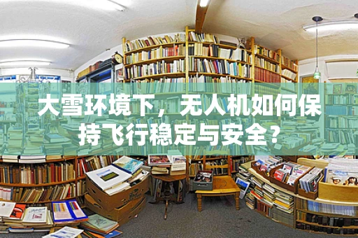 大雪环境下，无人机如何保持飞行稳定与安全？