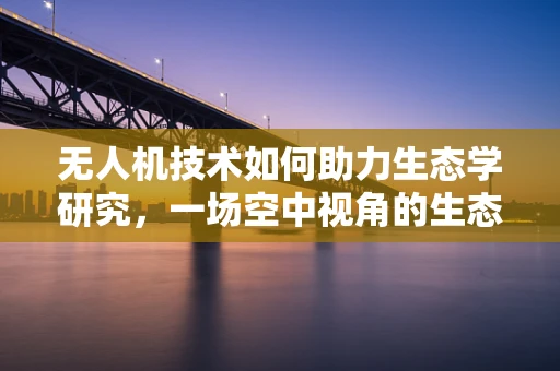 无人机技术如何助力生态学研究，一场空中视角的生态监测革命？