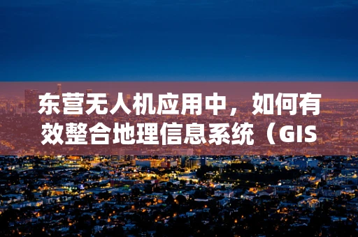 东营无人机应用中，如何有效整合地理信息系统（GIS）以提升城市管理效率？