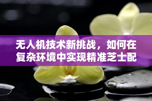无人机技术新挑战，如何在复杂环境中实现精准芝士配送？