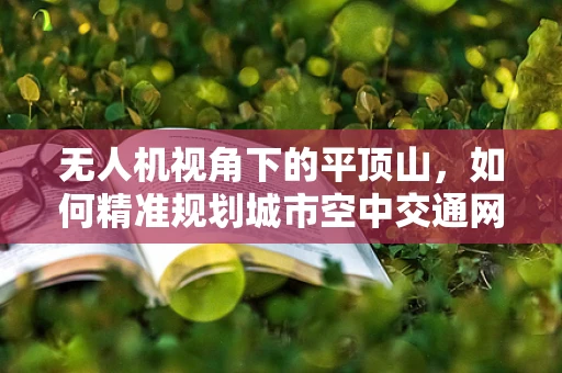 无人机视角下的平顶山，如何精准规划城市空中交通网络？
