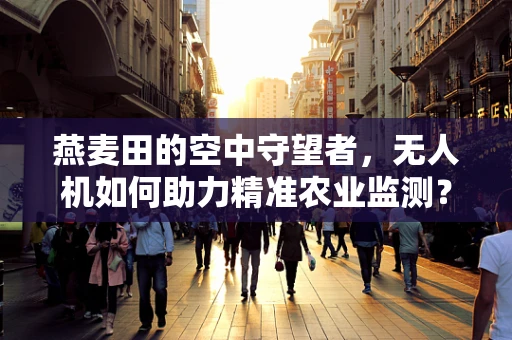 燕麦田的空中守望者，无人机如何助力精准农业监测？