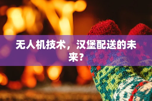 无人机技术，汉堡配送的未来？