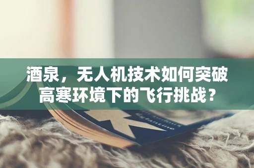 酒泉，无人机技术如何突破高寒环境下的飞行挑战？