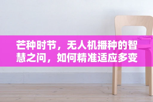 芒种时节，无人机播种的智慧之问，如何精准适应多变气候？