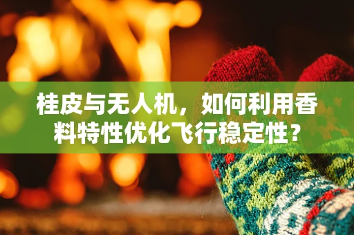 桂皮与无人机，如何利用香料特性优化飞行稳定性？