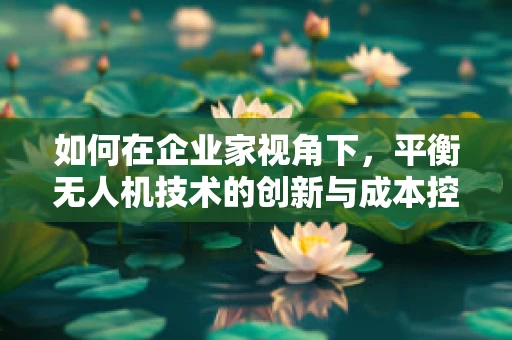 如何在企业家视角下，平衡无人机技术的创新与成本控制？