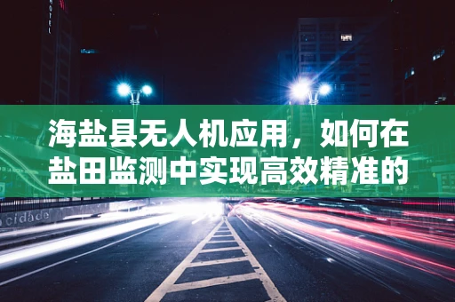 海盐县无人机应用，如何在盐田监测中实现高效精准的空中盐探？