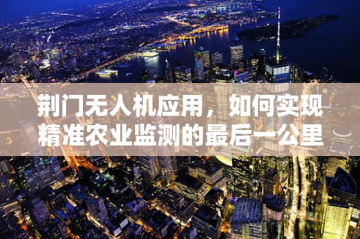 荆门无人机应用，如何实现精准农业监测的最后一公里？