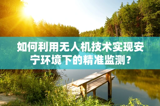 如何利用无人机技术实现安宁环境下的精准监测？