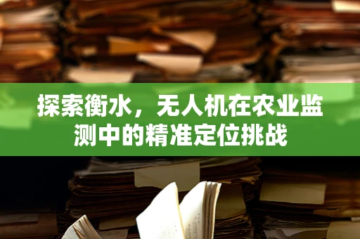 探索衡水，无人机在农业监测中的精准定位挑战