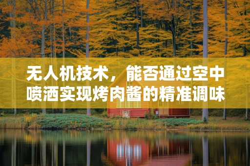 无人机技术，能否通过空中喷洒实现烤肉酱的精准调味？