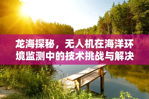 龙海探秘，无人机在海洋环境监测中的技术挑战与解决方案