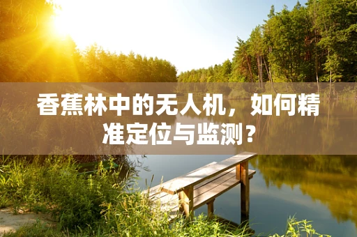 香蕉林中的无人机，如何精准定位与监测？