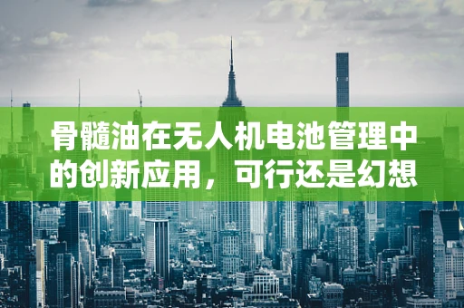 骨髓油在无人机电池管理中的创新应用，可行还是幻想？