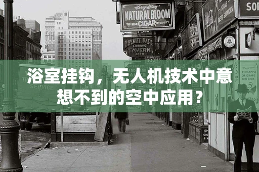 浴室挂钩，无人机技术中意想不到的空中应用？