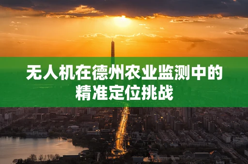 无人机在德州农业监测中的精准定位挑战