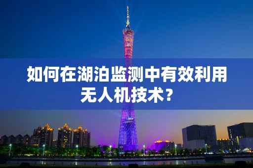 如何在湖泊监测中有效利用无人机技术？