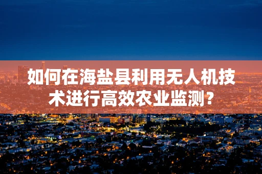 如何在海盐县利用无人机技术进行高效农业监测？