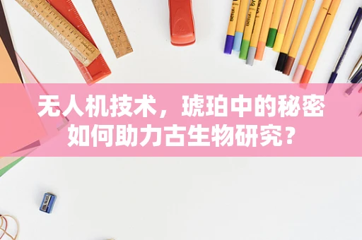 无人机技术，琥珀中的秘密如何助力古生物研究？