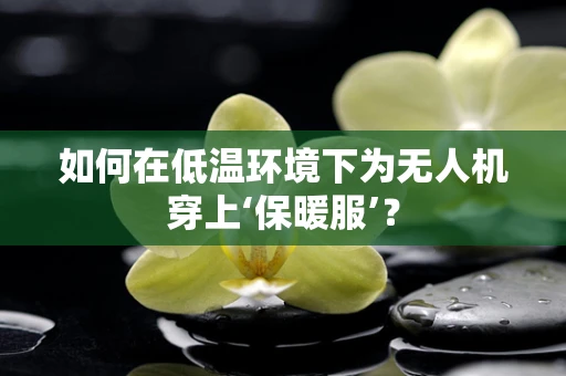 如何在低温环境下为无人机穿上‘保暖服’？