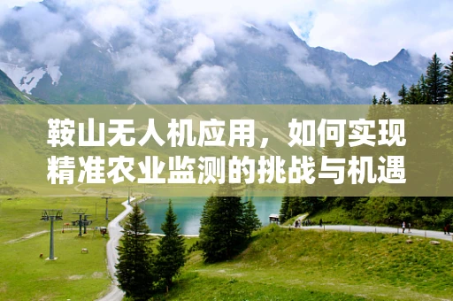 鞍山无人机应用，如何实现精准农业监测的挑战与机遇？